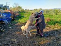 Sokak hayvanlarının Fadimeana’sı