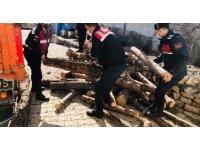Jandarmadan ihtiyaç sahibi ailelere 10 ton odun yardımı