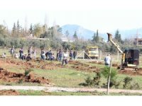 Döşemealtı’nda 17 bin fidan toprakla buluştu