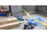 Ölüm alışverişte yakaladı, kedi başından hiç ayrılmadı