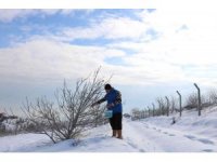 Karlı dağdaki yaban hayvanlarına yem