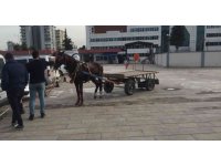 At arabasıyla uyuşturucu satan baba oğul tutuklandı