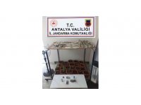 Evinde uyuşturucu madde yetiştirip satan şahsa operasyon