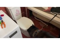 Suç makinesi uyuşturucu tacirlerine operasyon