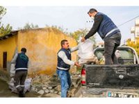 Budanan dallar yuvaları ısıtıyor