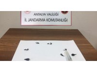Antalya’dan Kemer’e uyuşturucu madde getirirken yakalandılar