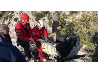 Kayalıklarda mahsur kalan 3 oğlak ile 1 keçiyi AKUT kurtardı