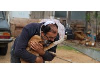 Antalya’da köpek kulübesinin yıkıldığı iddiası baltalı kavgaya döndü