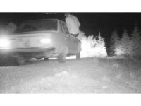 2021 yılı DKMP fotokapanına 3 bin 900 fotoğrafla kaydedildi