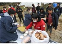 Mevsimlik tarım işçilerinin yaraları sarılıyor