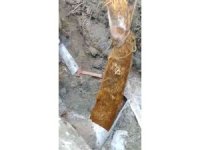 Su borusundan çıkan kök görenleri şaşırttı