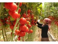 Burdur’da yayla seracılığında Türkiye birinciliği hedefi
