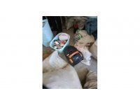 Evde ne bulduysa çalmış