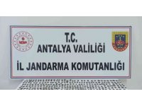Antalya’da 474 adet sikke ele geçirildi