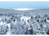 Mersin’in Gülnar ilçesinde eğitime ara verildi