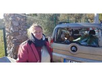 Hayvansever Alman kadının içinde köpeği bulunan aracını sopalar ve taşlarla parçaladılar