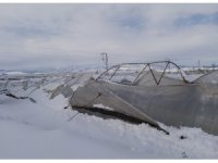 Kahramanmaraş’ta seralar karda zarar gördü