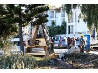 Alanya’da 17 kaçak yapı yıkılıyor