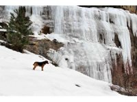 Kahramanmaraş’ta Zopzop Mağarası buz tuttu