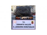 Osmaniye’de bağ, bahçe ve tarladan hırsızlık yapan zanlılar yakalandı