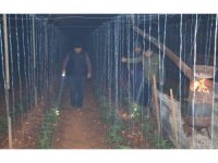 Mersin’de bahçelerde lastikler, seralarda sobalar yakıldı, zirai don nöbeti başladı