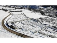 Kar, gül serasını yerle bir etti, 2,5 milyon zarar meydana geldi