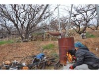 Türkiye’nin en pahalı don nöbeti