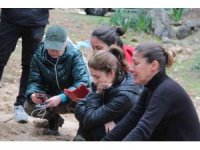 Hayvanseverler iş makinesiyle gömülen kedi ve köpeklere tepki gösterdi, işlemin yasal olduğu ortaya çıktı