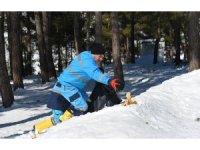 Kahramanmaraş’ta  sokak hayvanları unutulmadı