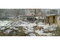 Sokak köpeklerinin kümese saldırdığı anlar böyle görüntülendi