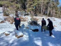 Mersin’de yaban hayvanları için doğaya yem bırakıldı