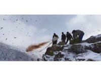 Adana’da yaban hayvanlarına yem desteği