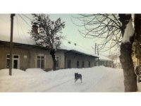 Tufanbeyli Sibirya gibi, işçi servisi tipide yolda kaldı