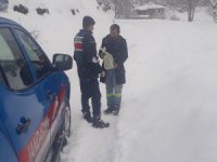 Bebeğinin maması biten kadının yardımına jandarma koştu