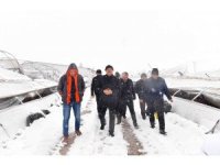 Başkan Güngör: "Seraları tekrar ayağa kaldıracağız"