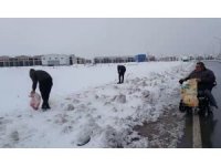 Engelli aracına binip sokak hayvanlarına mama bıraktı