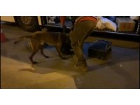 "Brego" uyuşturucuya geçit vermedi