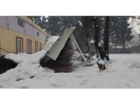 Kahramanmaraş’ta kar nedeniyle çatılar çöktü