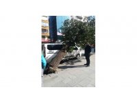 Hatay’da park halindeki aracın üzerine ağaç devrildi