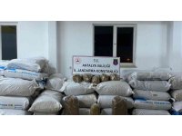 Antalya’da 113 yem çuvalı dolusu kaçak tütün ele geçirildi