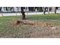 Mezar kazılıyor ihbarı ile olay yerine giden ekipler, korkunç cinayet ile karşılaştı