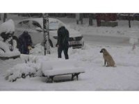 Isparta’da  aniden bastıran kar kalınlığı 15 santimetreyi geçti