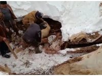 Kahramanmaraş’ta çığ düştü, keçiler telef oldu