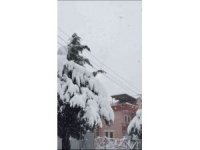 Yoğun kar yağışı sonrası elektrik tellerinin kopma anı böyle görüntülendi