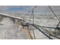 Isparta’da seralar yoğun kar yağışına dayanamadı