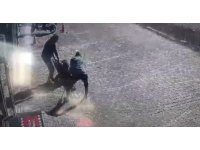 Antalya’da yasaklı cins sokak köpeği, genç kadın ve köpeğine dehşeti yaşattı