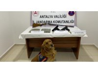 Antalya’da jandarmadan uyuşturucu operasyonu: 2 gözaltı