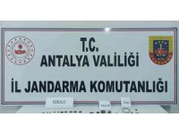 Antalya’da jandarma, 84 tarihi eser ele geçirdi