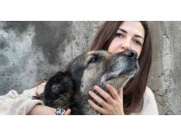 Komşusunun kızına ve köpeğine ağaç dalıyla saldırdı