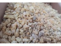 Mezda sakızının kilosu 750 liradan satılıyor